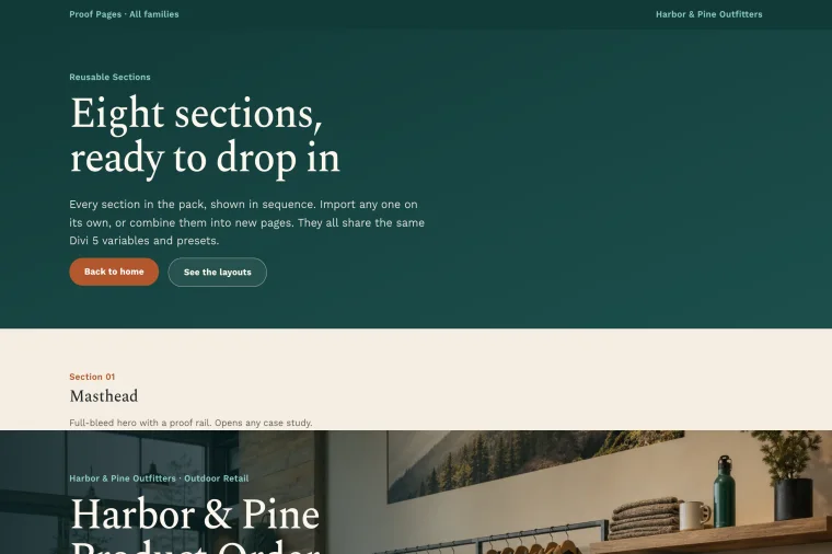 Reusable Sections layout preview