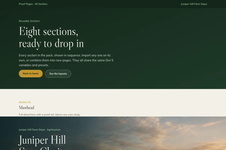 Reusable Sections layout preview