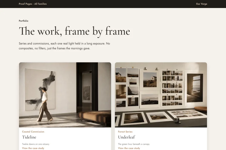 Portfolio Showcase layout preview