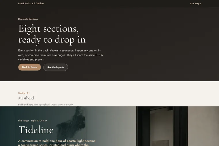 Reusable Sections layout preview