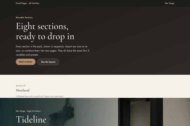 Reusable Sections layout preview