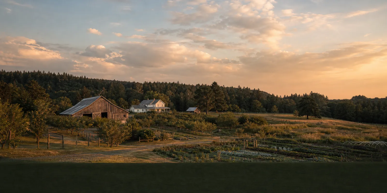 A farmstead and open fields at sunset under a wide sky